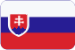 AESSEAL Czech s.r.o. Slovensky